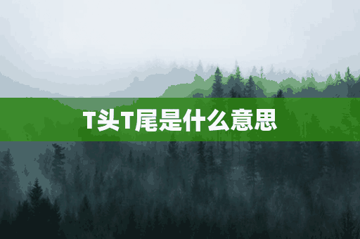 T头T尾是什么意思(t尾和v尾)